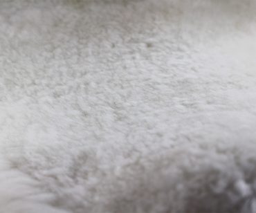 Piel de oveja clínico