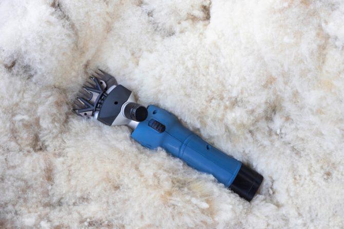 FarmClipper for Sheep Akku2 11