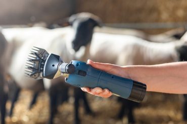 FarmClipper for Sheep Akku2 3